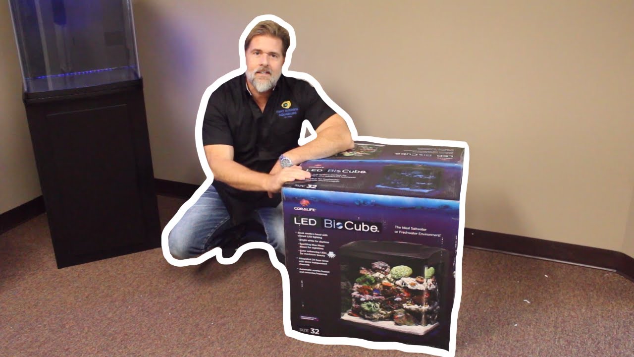 How to Set Up a Biocube! (Saltwater) | Tank Tips #aquarium #lfs #fishstore #biocube