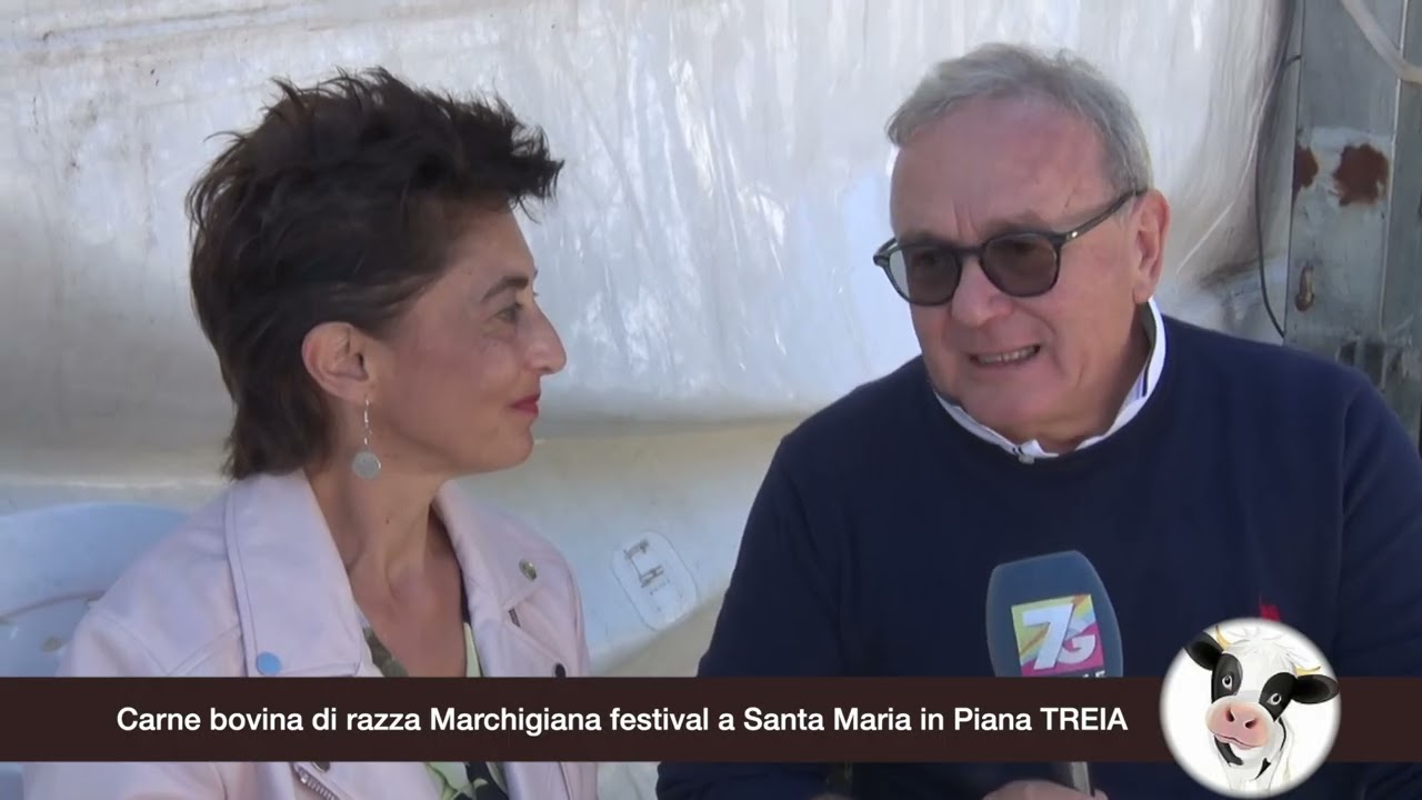 Carne bovina di razza Marchigiana festival a Santa Maria in Piana TREIA