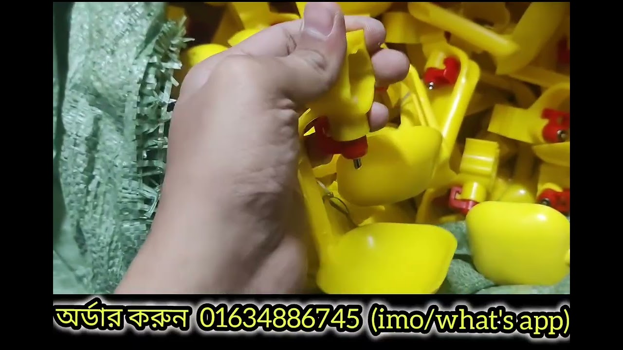 খামারের প্রয়োজনীয় পণ্য poultry farm solution and equipment 