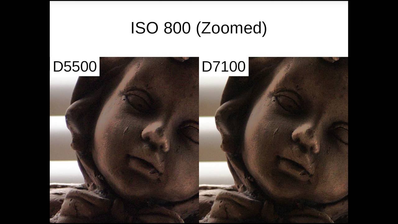 D5500 vs D7100 High ISO Comparison