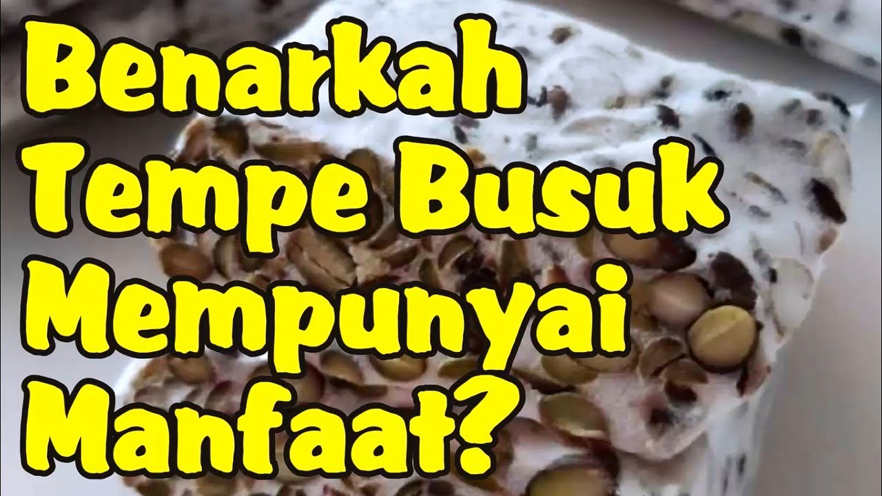 Manfaat Tempe Busuk yang Jarang Disadari