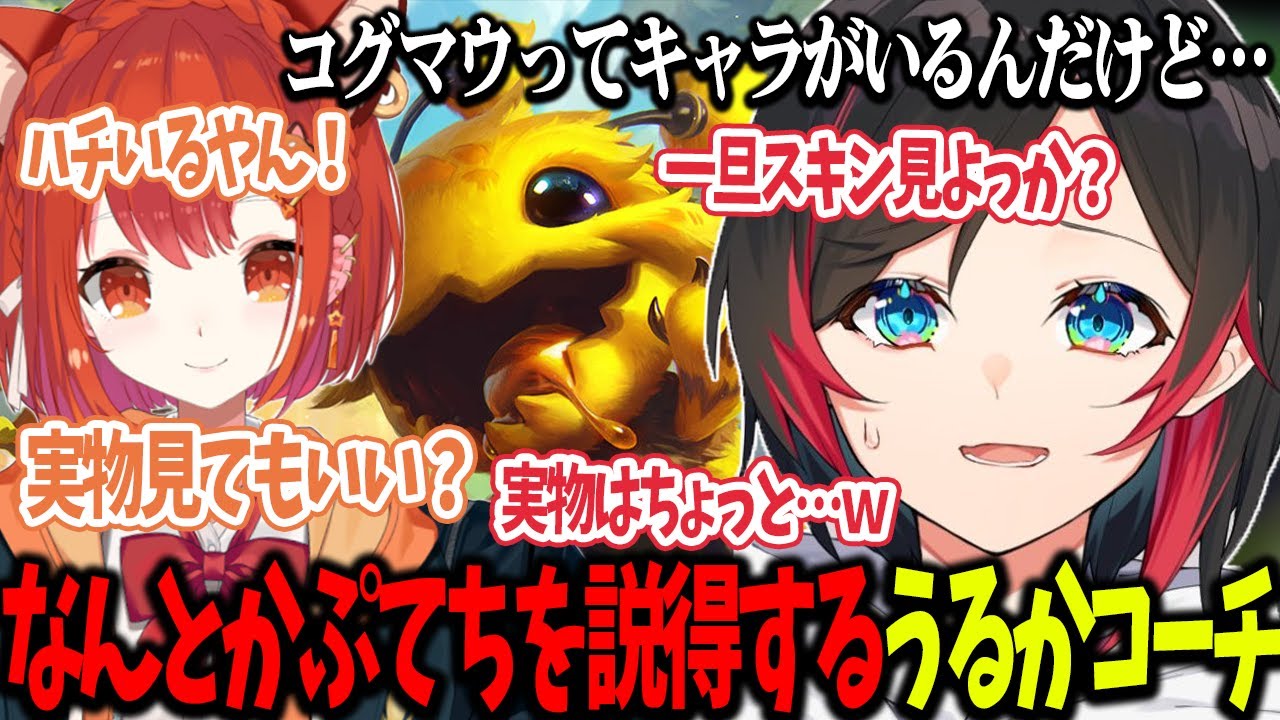 【LoL/The k4sen1日目】なんとかしてぷてちにコグマウを使ってもらうように説得するうるかコーチ【うるか切り抜き/うるか/天宮こころ/ラトナプティ/奈羅花/水無世燐央/桜凛月/k4sen】