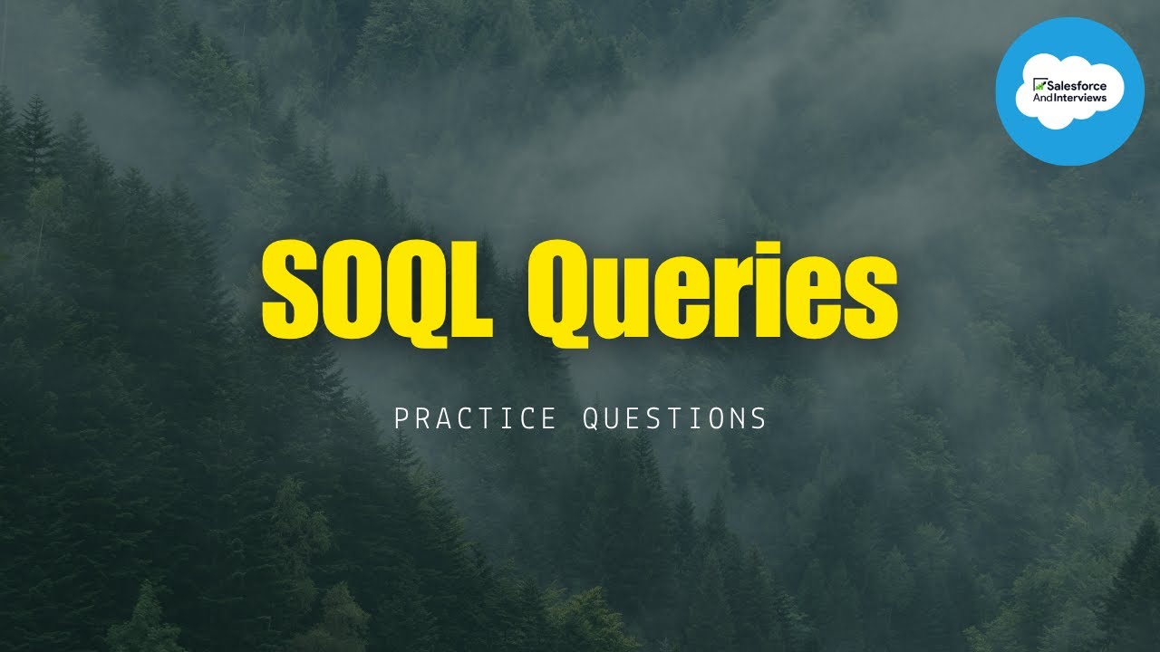 Практическое занятие по запросам SOQL || Полный курс разработки Salesforce || Назад к основам #sa...