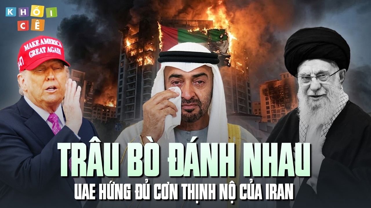 TRÂU BÒ ĐÁNH NHAU, DUBAI DÍNH CHƯỞNG | UAE SỨT ĐẦU MẺ TRÁN VÌ BỊ IRAN THẢ SAO BĂNG