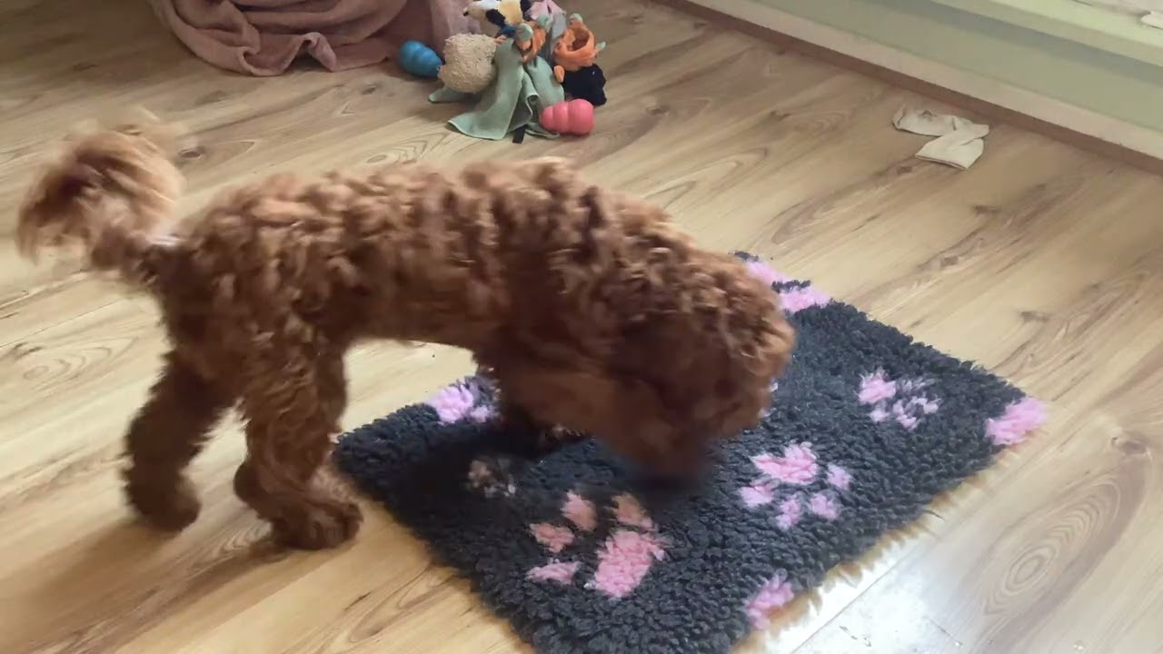 Mat game