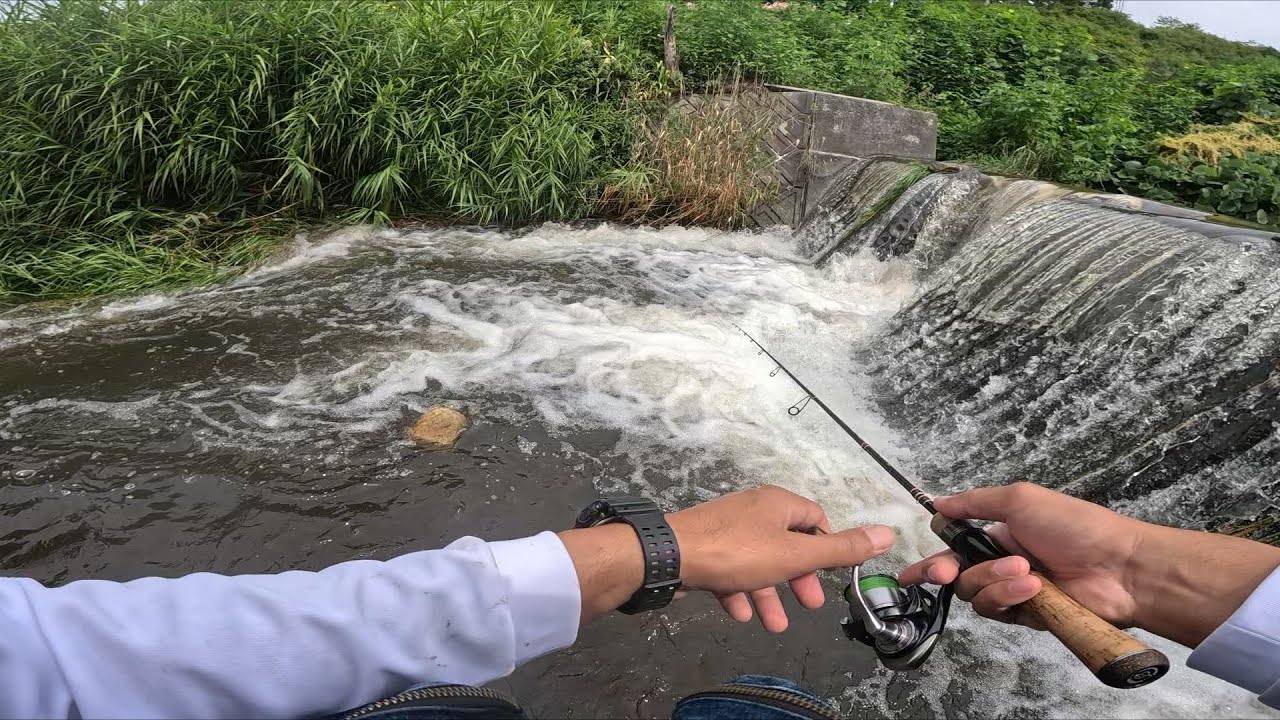 水深２０センチの場所で５０アップの大岩魚が立て続けに釣れた