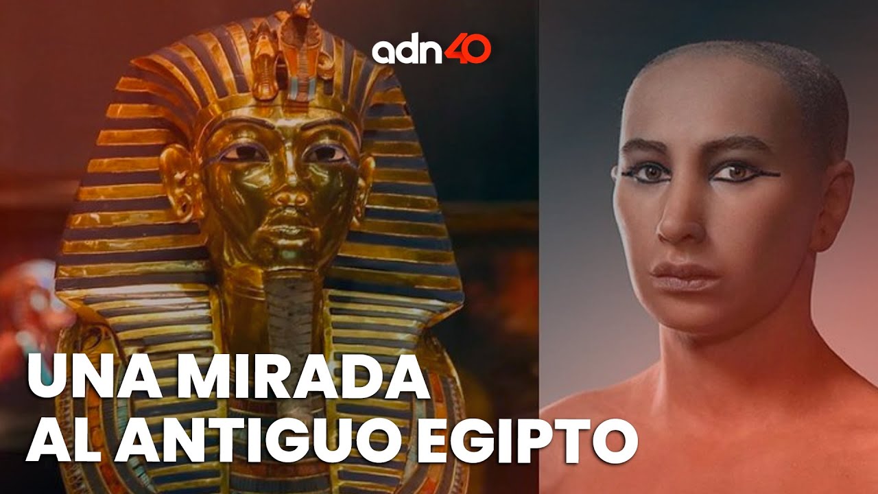 Tutankamon una mirada al antiguo Egipto | El adn de la Historia