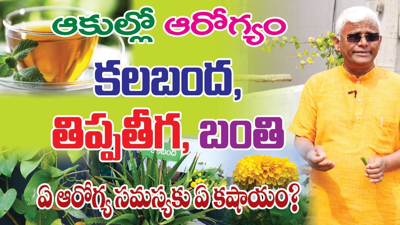 కలబంద, తిప్పతీగ, బంతి ఆకుల కషాయాలతో కలిగే ఆరోగ్య ప్రయోజనాలు || Dr.Khader Vali || Rythunestham