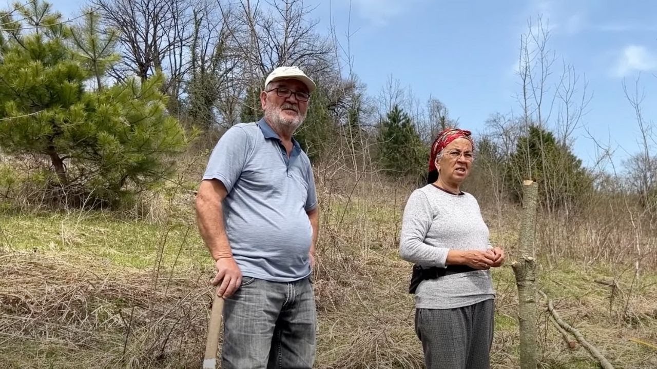 HAYVAN SEVKİYATLARI VE LAHANA SARMASI
