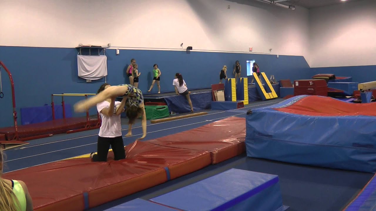 2013 / 2014 Springers Regional Montage