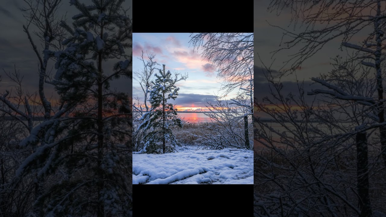 D1N - Море (Slowed + Reverb)