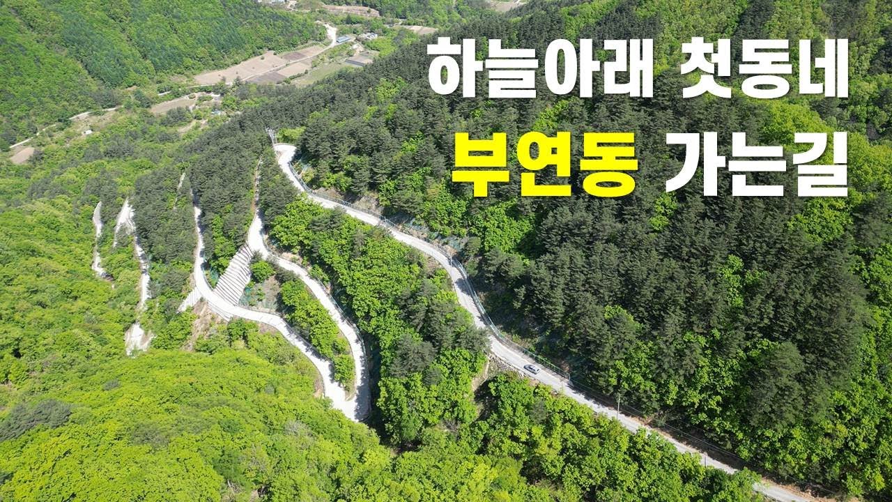 이런 길이 국도라니....그런데....... 너무 좋다, #부연동길