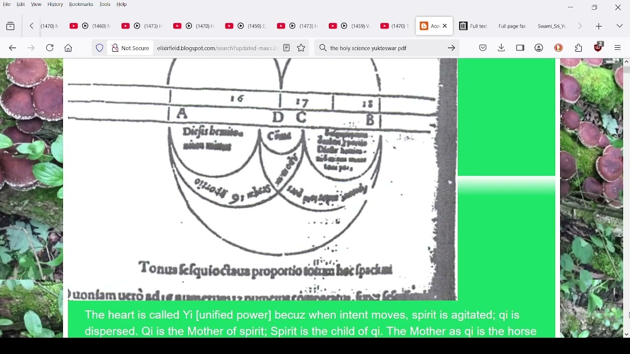 Tree of Life is secret truth of Christianity: Dr. Margaret Barker=Sri Yukteswar=Daoist Yoga Neidan