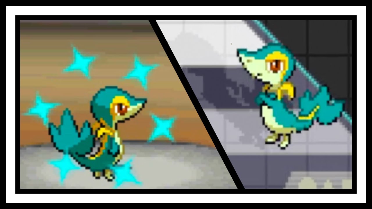 LIVE Shiny Snivy after Only 33,202 SRs in Pokemon Black (DTQ #1)