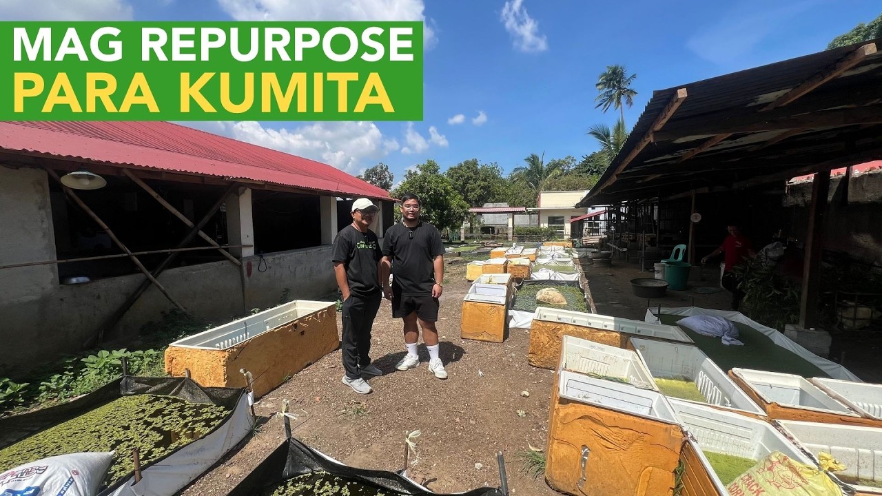 Dating Babuyan - Converted sa Floating Plants Pond, Nakatipid ng 70% Dahil sa mga Repurpose!