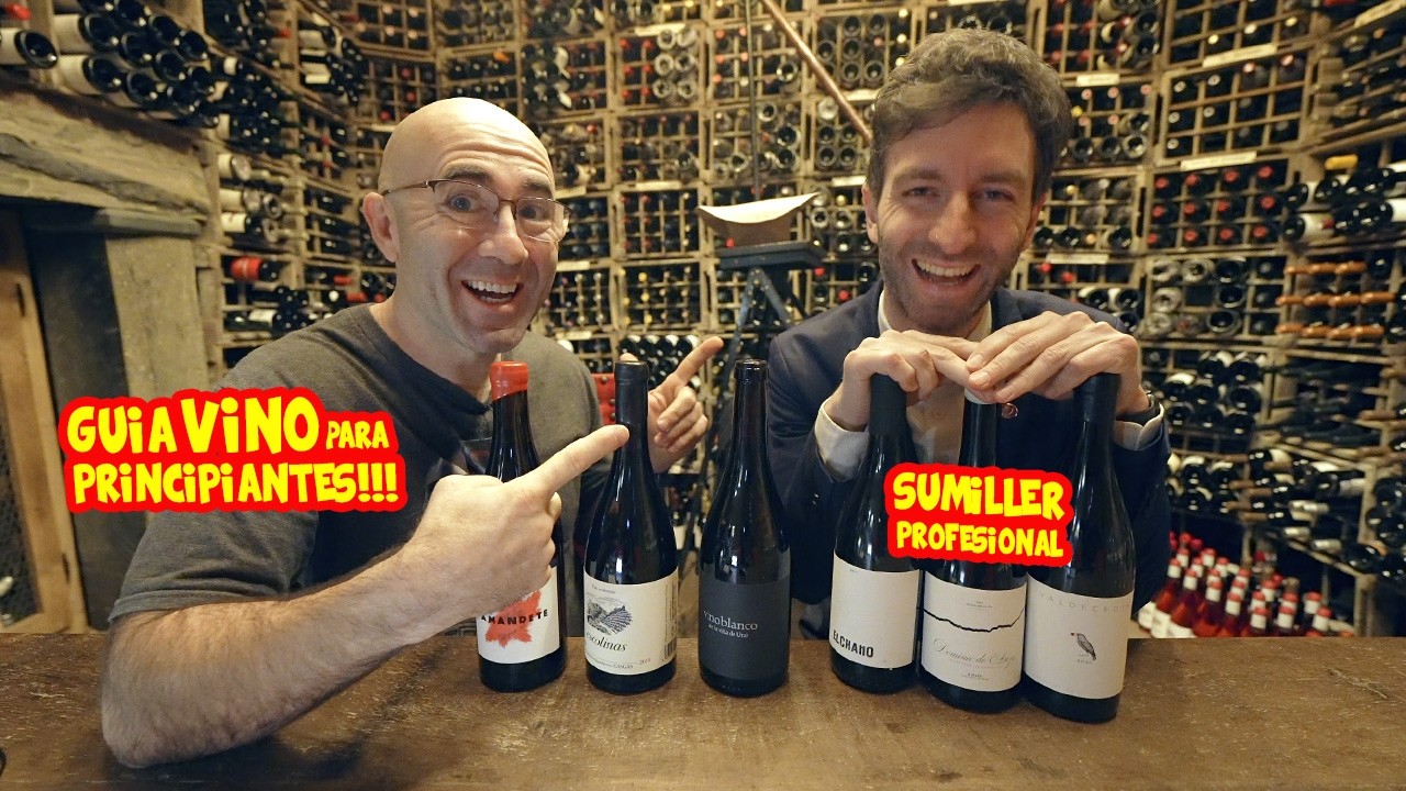 GUÍA de Vino para PRINCIPIANTES con un SUMILLER PROFESIONAL