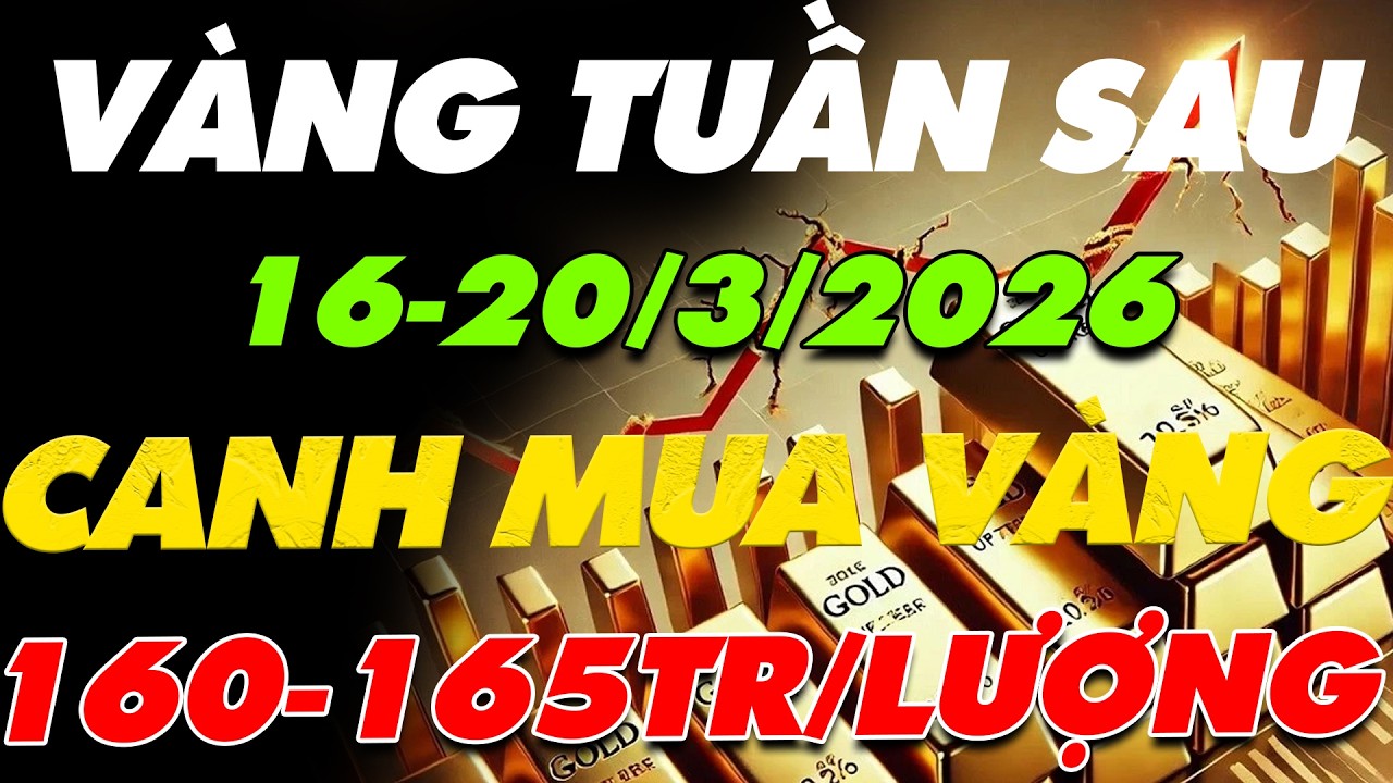 PHÂN TÍCH XU HƯỚNG GIÁ VÀNG TUẦN SAU:16-20/3/2026 CANH MUA VÀNG Ở VÙNG GIÁ 160-165 TRIỆU/LƯỢNG?