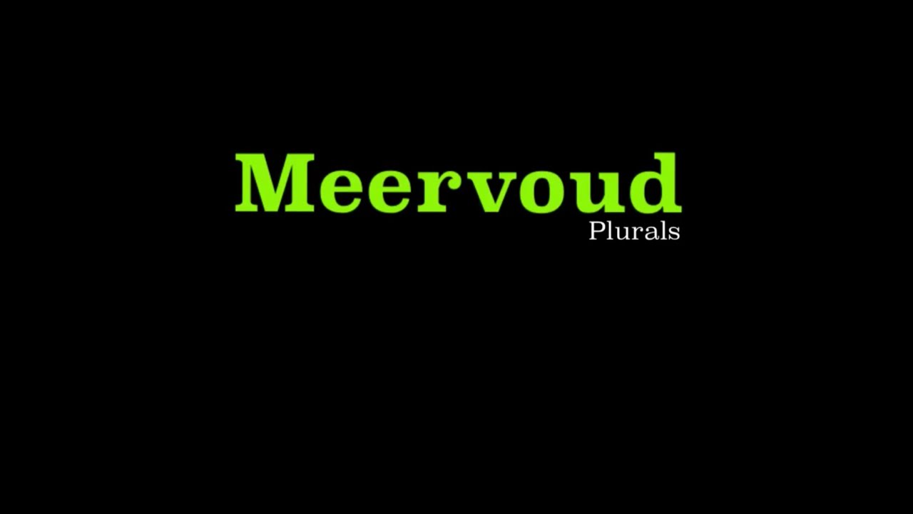 Afrikaans - Meervoude (Plurals) - Part 1 of 2