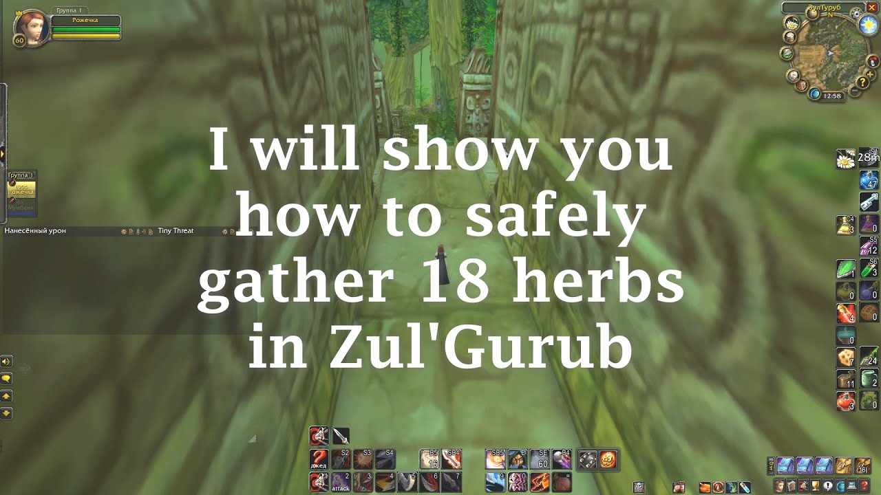 Rogue Solo Bloodvine Farm Guide