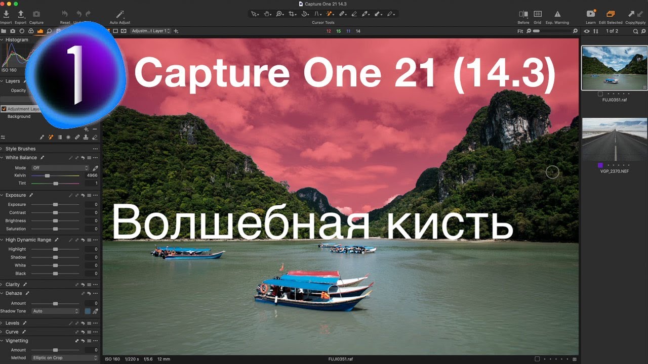 Волшебная кисть в Capture One 21 и другие нововведения