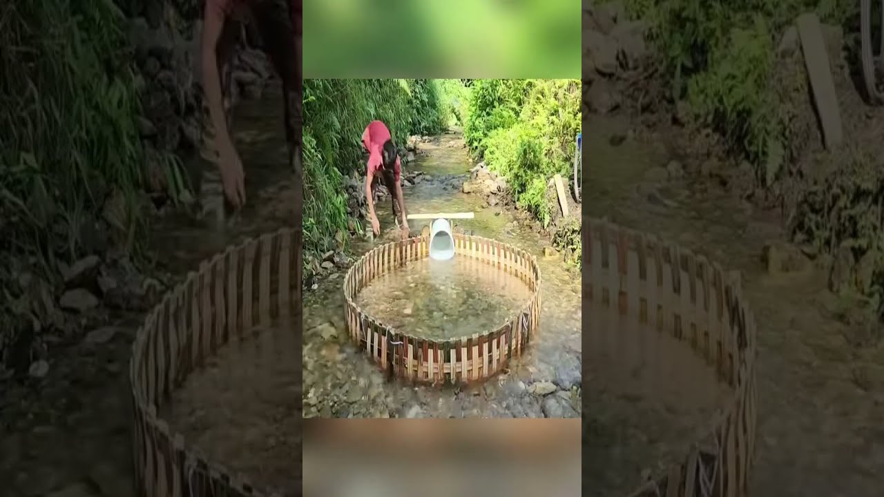 Watch This Boy's Clever Bamboo Trap WorkLike Magic#camping#survival#bushcraft#outdoors#lifehacks