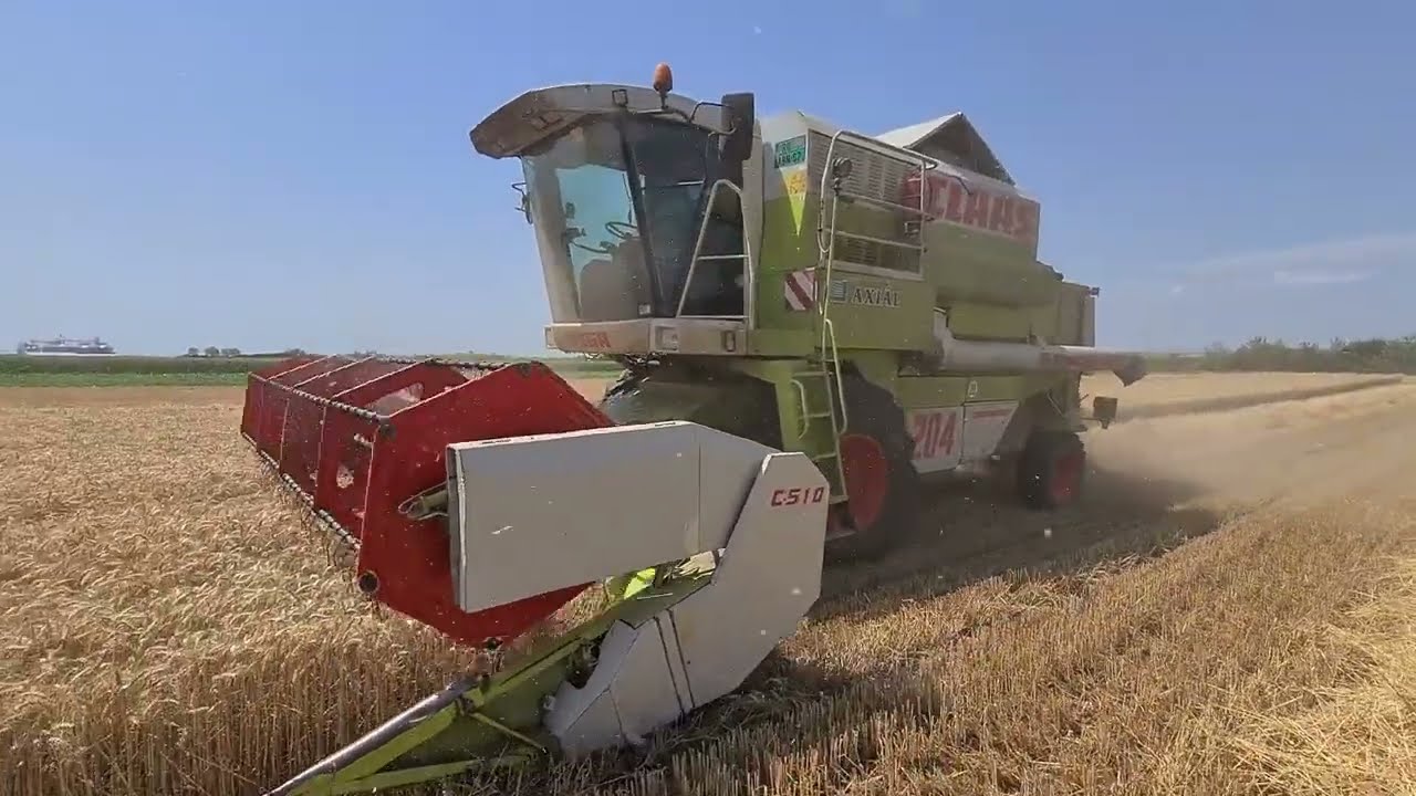 CLAAS MEGA 204 Zetva psenice 2022 Wheat harvest