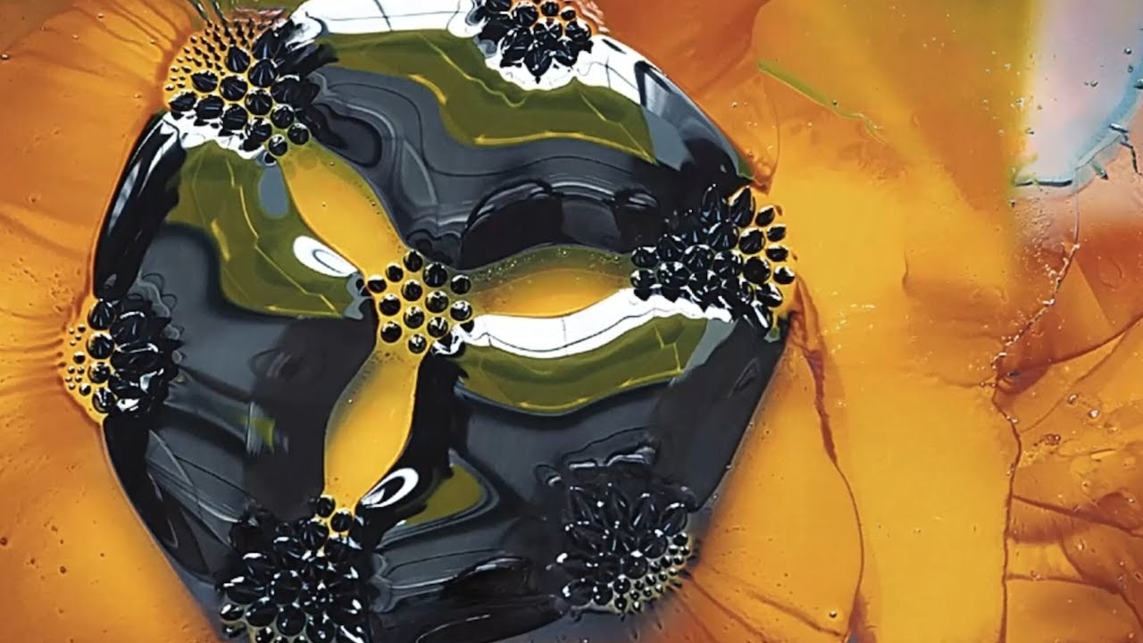 Making science visible through photography — Felice Frankel — MIT Museum Talks