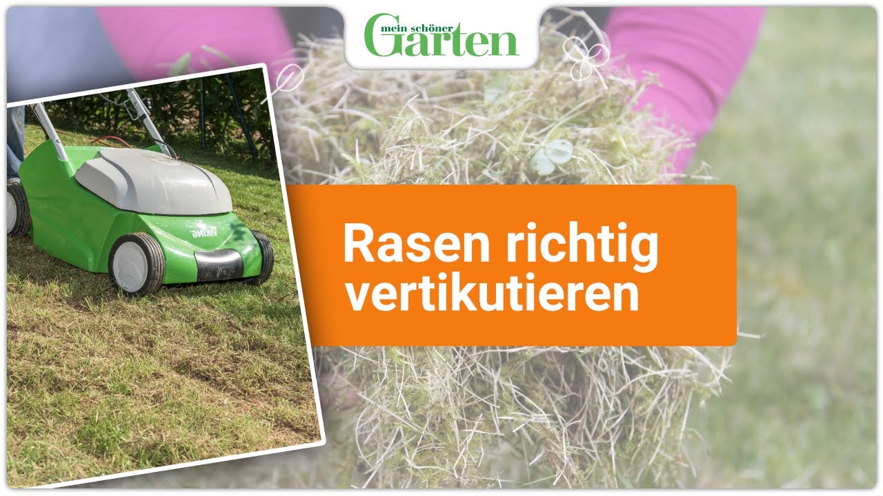 Gartentipp: Rasen vertikutieren - Anleitung f&uuml;r einen gesunden und sch&ouml;nen Rasen