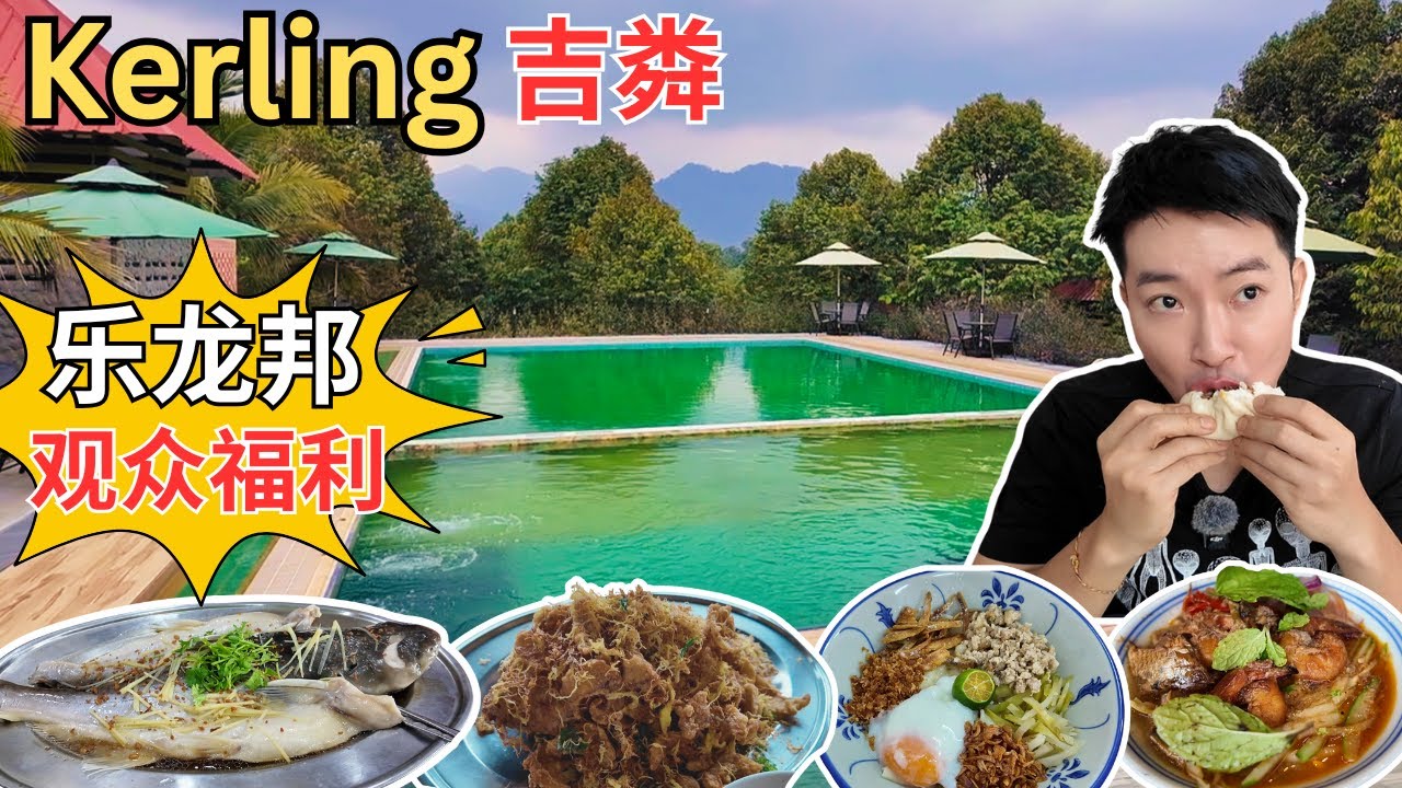[Kerling吉粦+ Kalumpang龙邦～美食，打卡] The Lumpang乐龙邦度假村～观众福利！楼记油蒸鲶鱼！鱼王饭店～忘不了渔场！长芳手工包！成发奶油非洲鱼！龙泉云吞面！为食面馆板面！