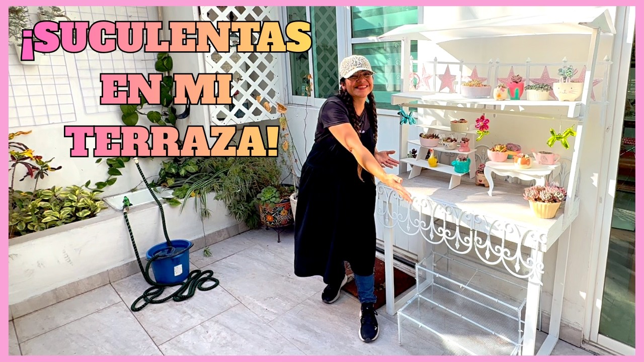 DECORANDO MI TERRAZA CON SUCULENTAS | BAJE MI CARRITO DE PLANTAS | TOUR Y TRASPLANTES