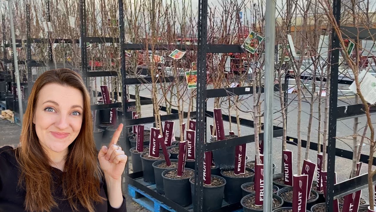 My FAVORITE Place to Buy Fruit Trees!