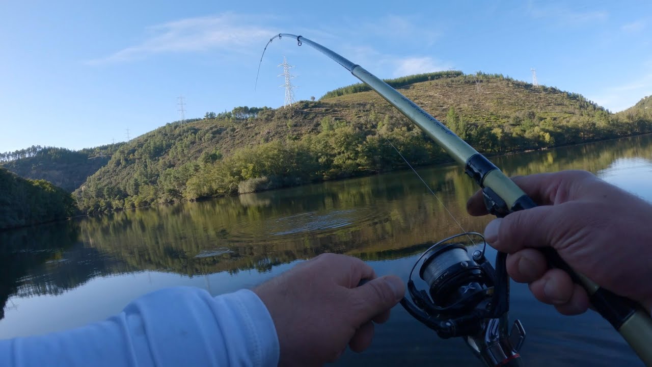 Técnicas de pesca para atrapar grandes truchas en embalses con mucha vegetación acuática.