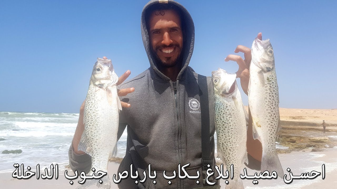 احسن مصيد ابلاغ بكاب بارباص جنوب الداخلة