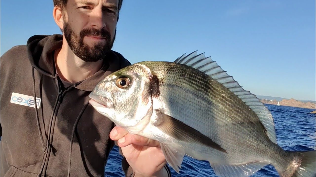 Pêche à la palangrotte (à soutenir) dans les Bouches-du-Rhône !