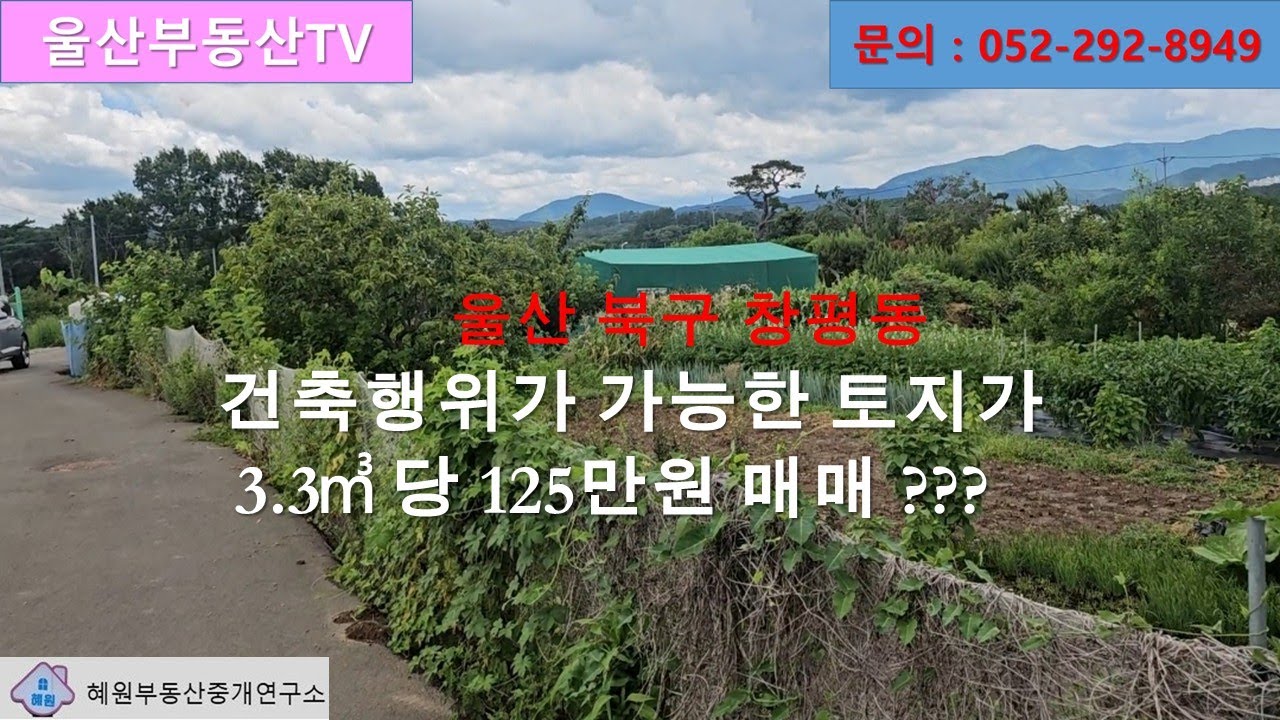 건축행위가 가능한 토지가 3.3㎡ 당  125만원??울산 북구 창평동에,,,