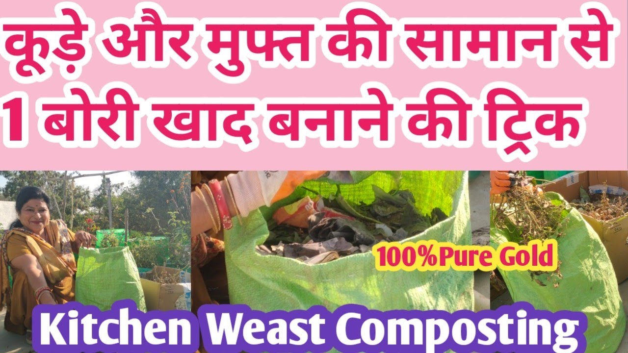 कूड़ा को सोना बनते देखना है आप लोगों को 1 बोरी सोना बनाने की ट्रिक How Can Make Pure Gold for plants