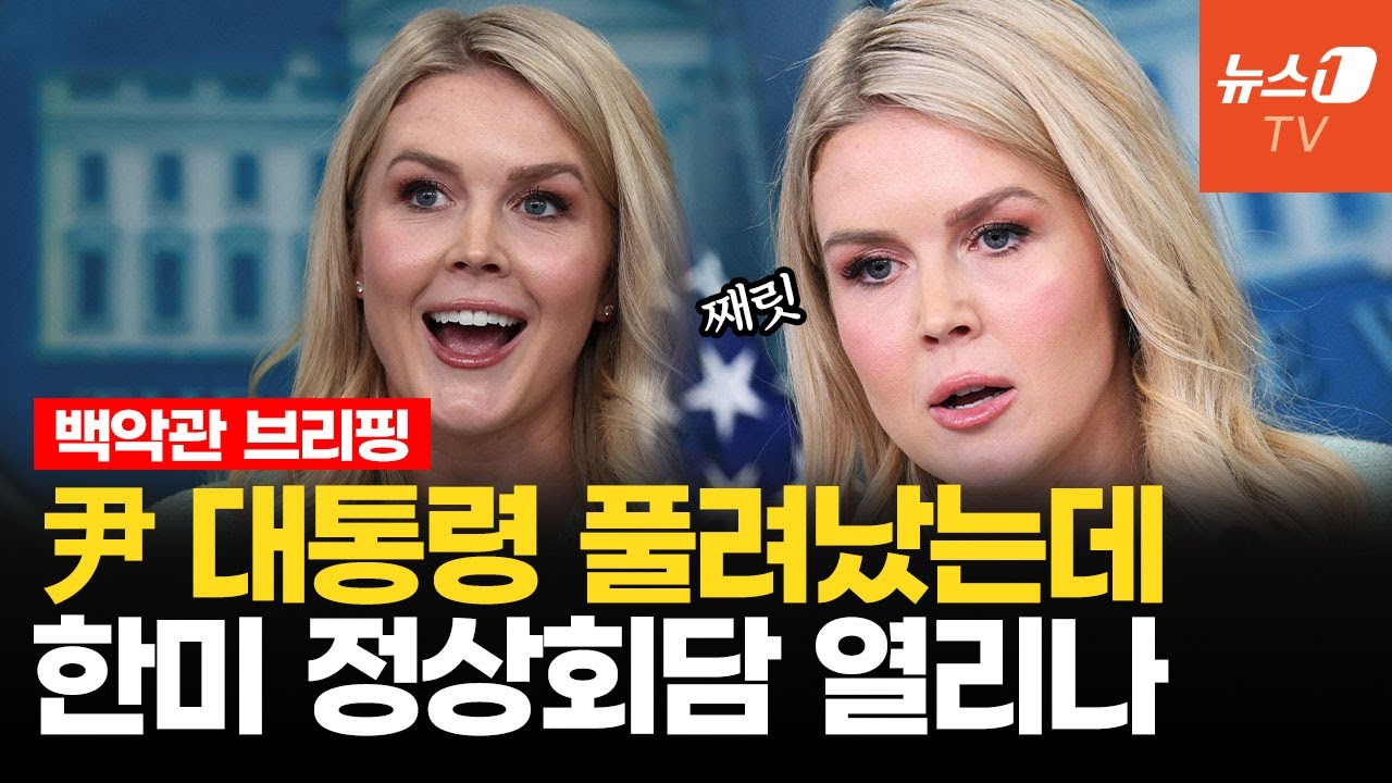 '트럼프의 입' 레빗, 악연 기자와 눈싸움…승자는 누구?