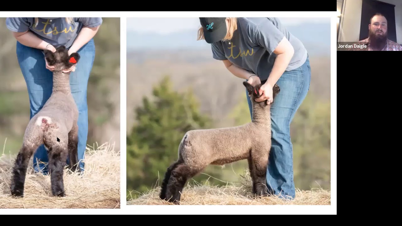 How to Photograph Your Livestock with Jordan Daigle