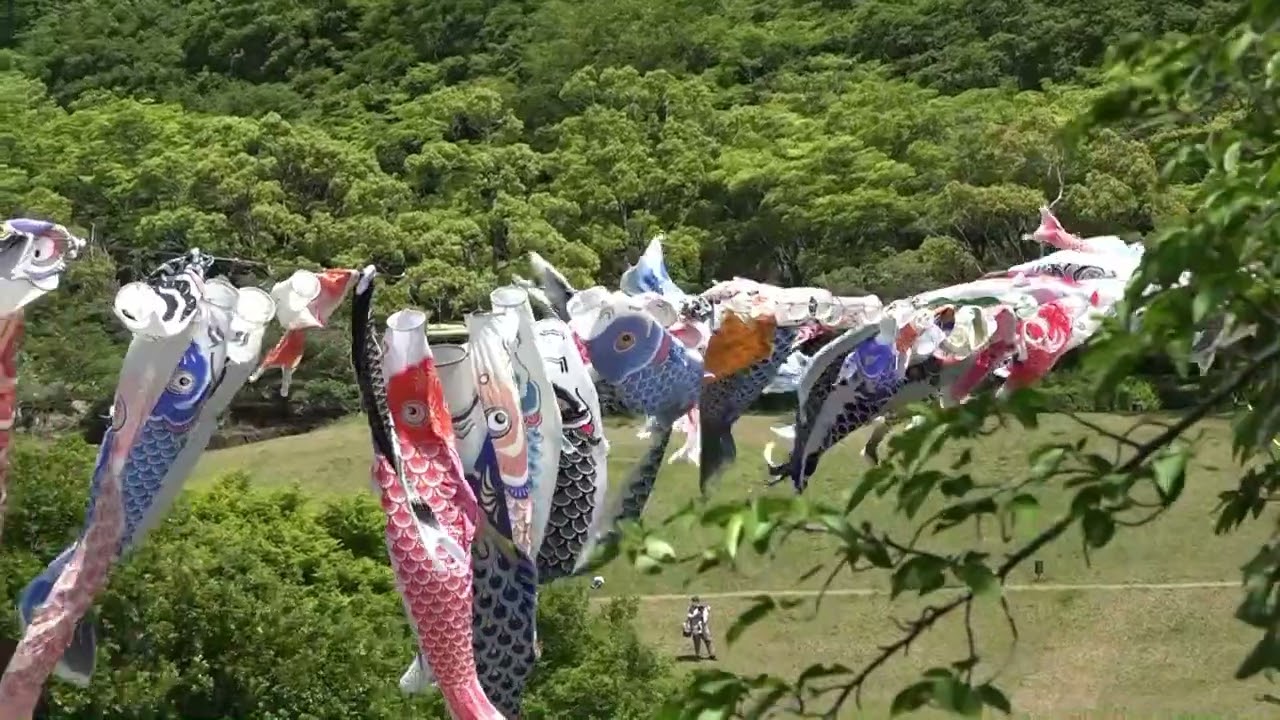 2023年5月 トムのお散歩