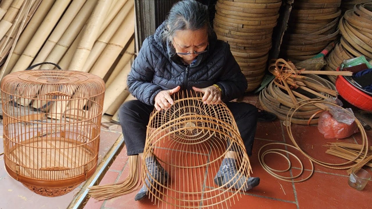 You Won&rsquo;t Believe How Complex a Birdcage Can Be!