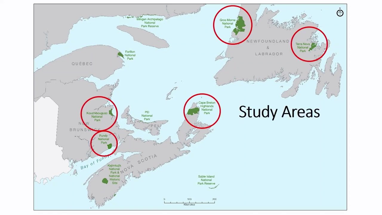 Six Rivers Iceland Atlantic Salmon Conservation-  Fundy Salmon - Kurt Samways