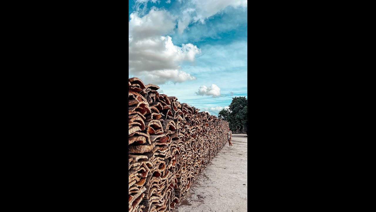 From Évora to Elvas — Discovering Portugal’s Cork Industry at Corticarte 🪵