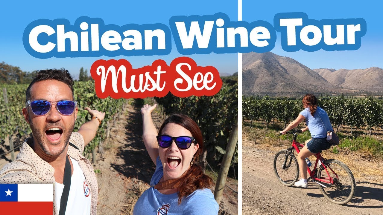 Incredible Wine Tour in Chile 🍷 This is Maipo Valley 🇨🇱 The Best Wine Tour in Chile.