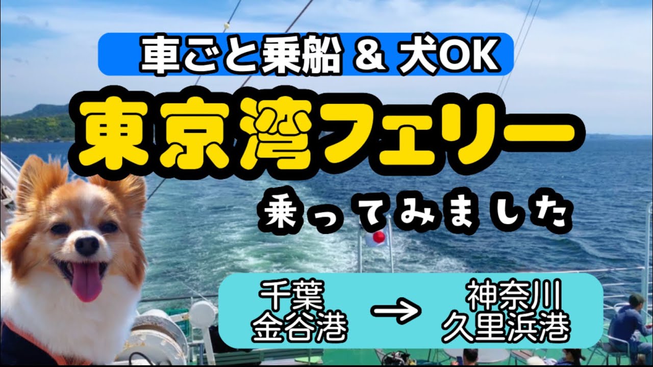 【車ごと乗船・犬リードでＯＫ】東京湾フェリーに乗ってみました