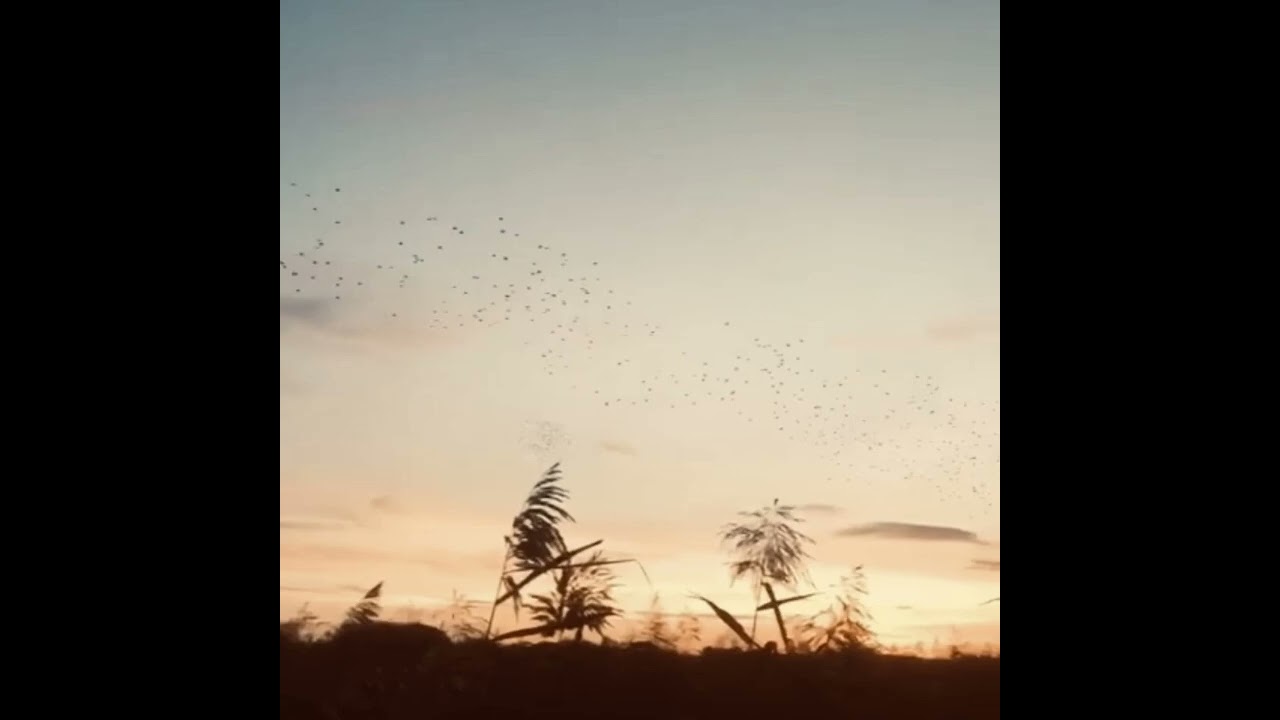 7 New Life