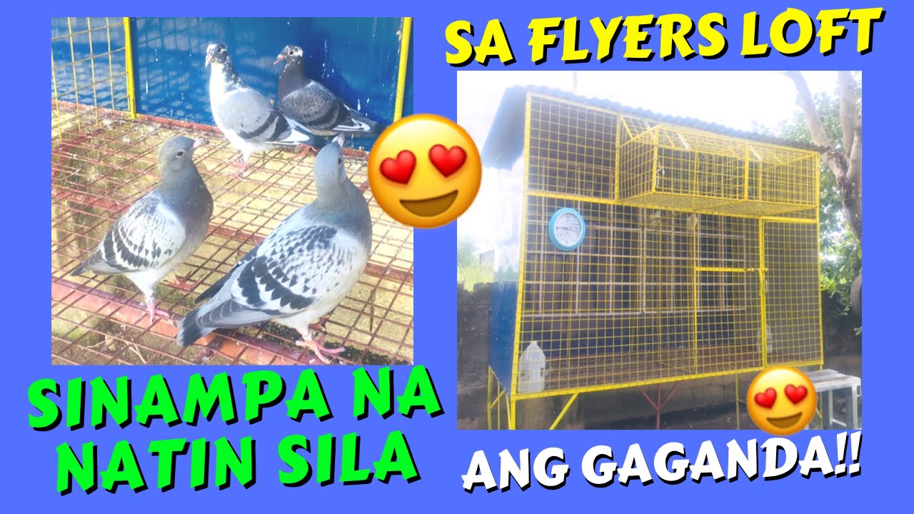 MGA PAHABOL PARA SA SOUTH RACE SINAMPA NA NATIN SA FLYERS LOFT