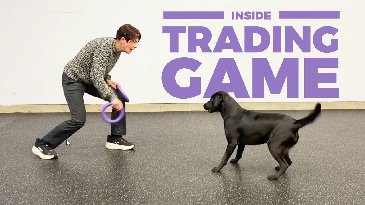 игра в торговлю в помещении