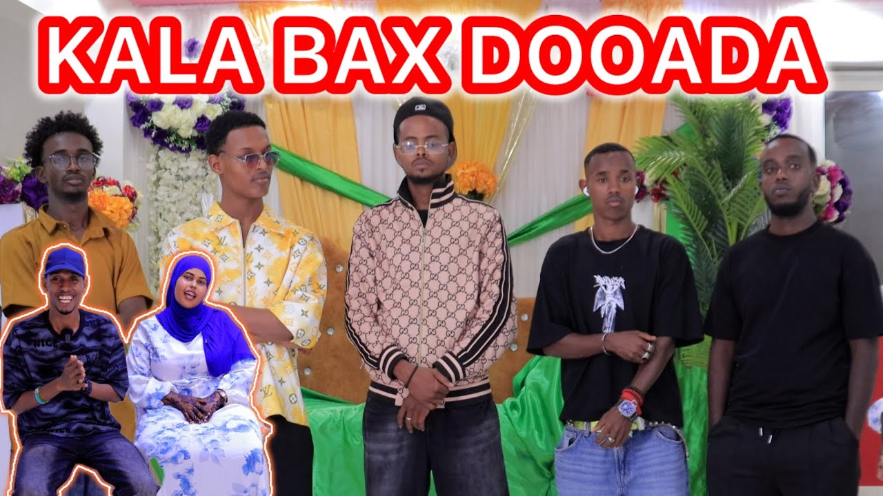 DAJIYA IYO 5 WIIL YAALA DOORTAY || WAA WAREEY || KALA BAX DOOQADA 😮