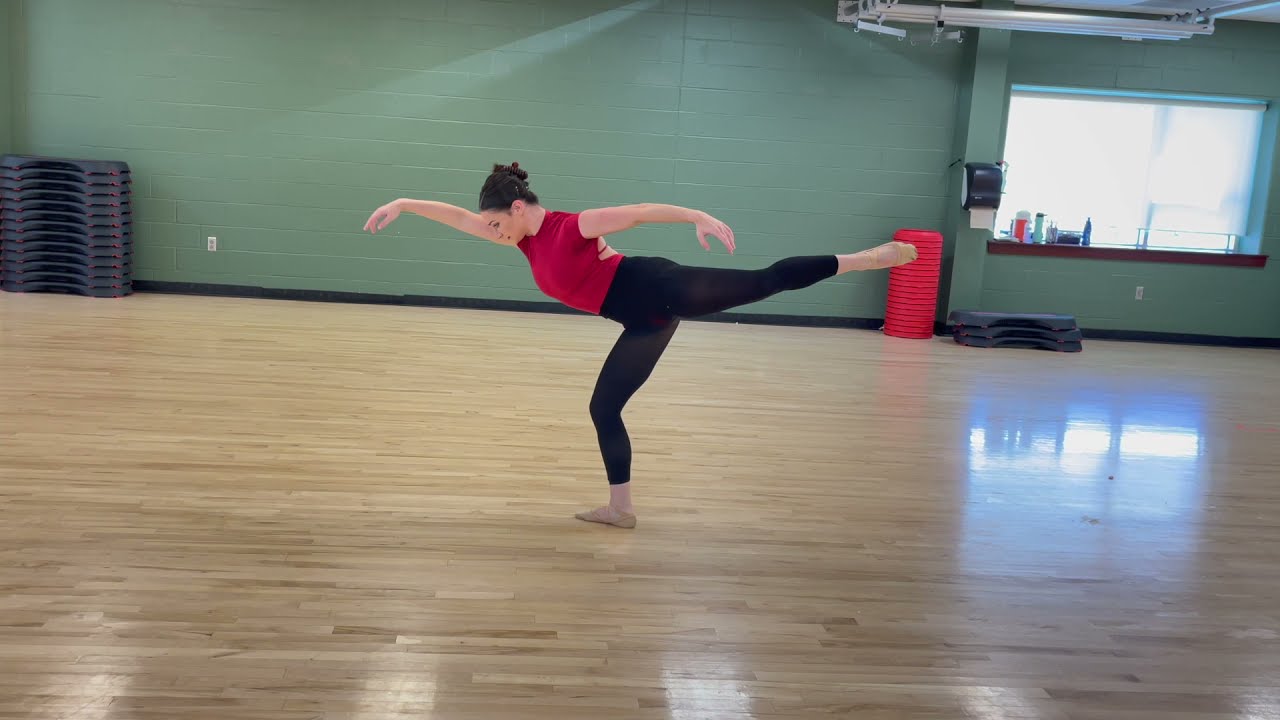 Lion King Dancer Submission - Gianna Annesi