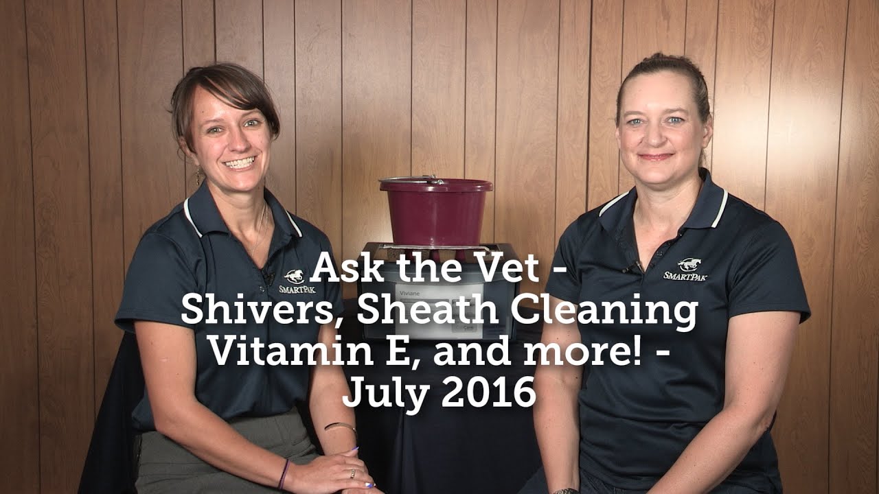 Ask the Vet - Shivers, Sheath Cleaning, Vitamin E, and more! - July 2016